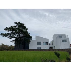 스테이아하