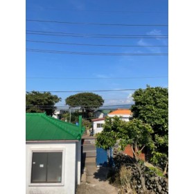제주옥