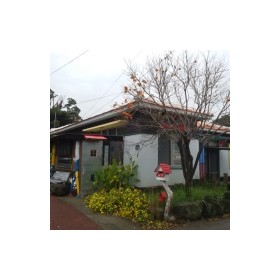 멀구슬