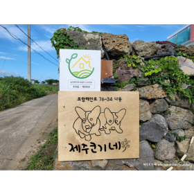 제주코기네