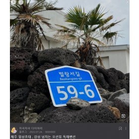 일상초대*