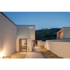 오디드