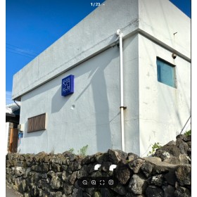 8월신촌